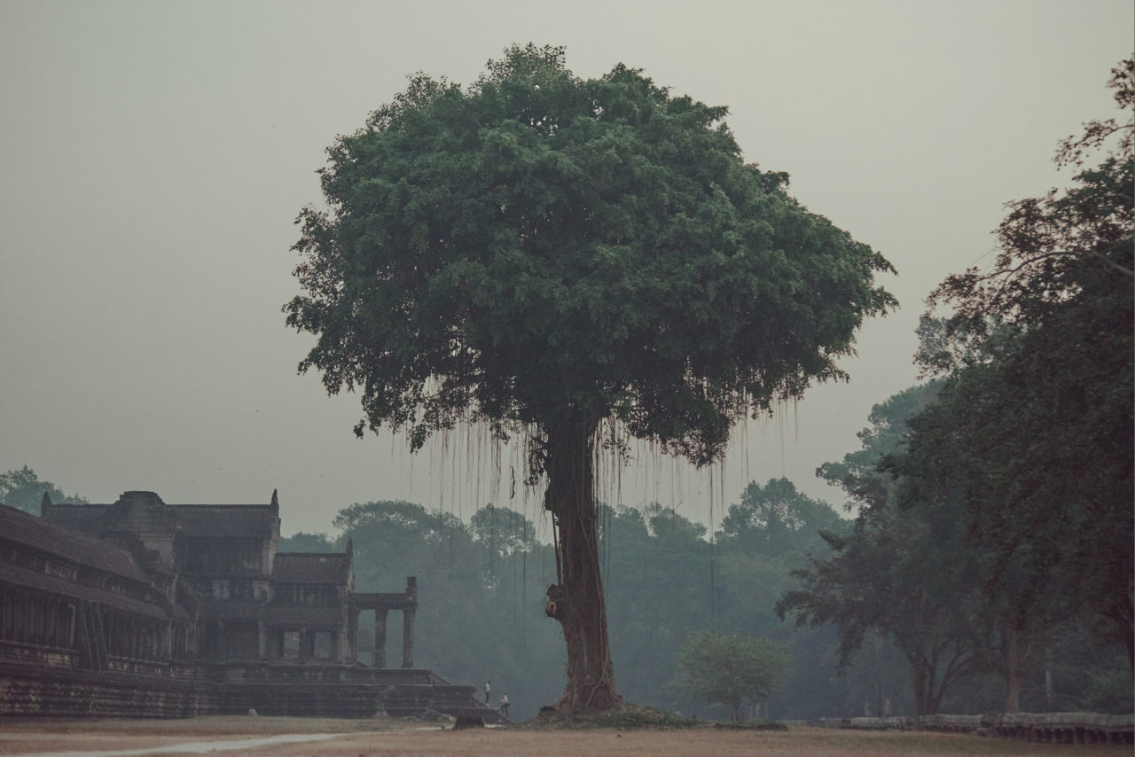 Angkor Archeological Park Cambodia Photographed by Lucian Niculescu